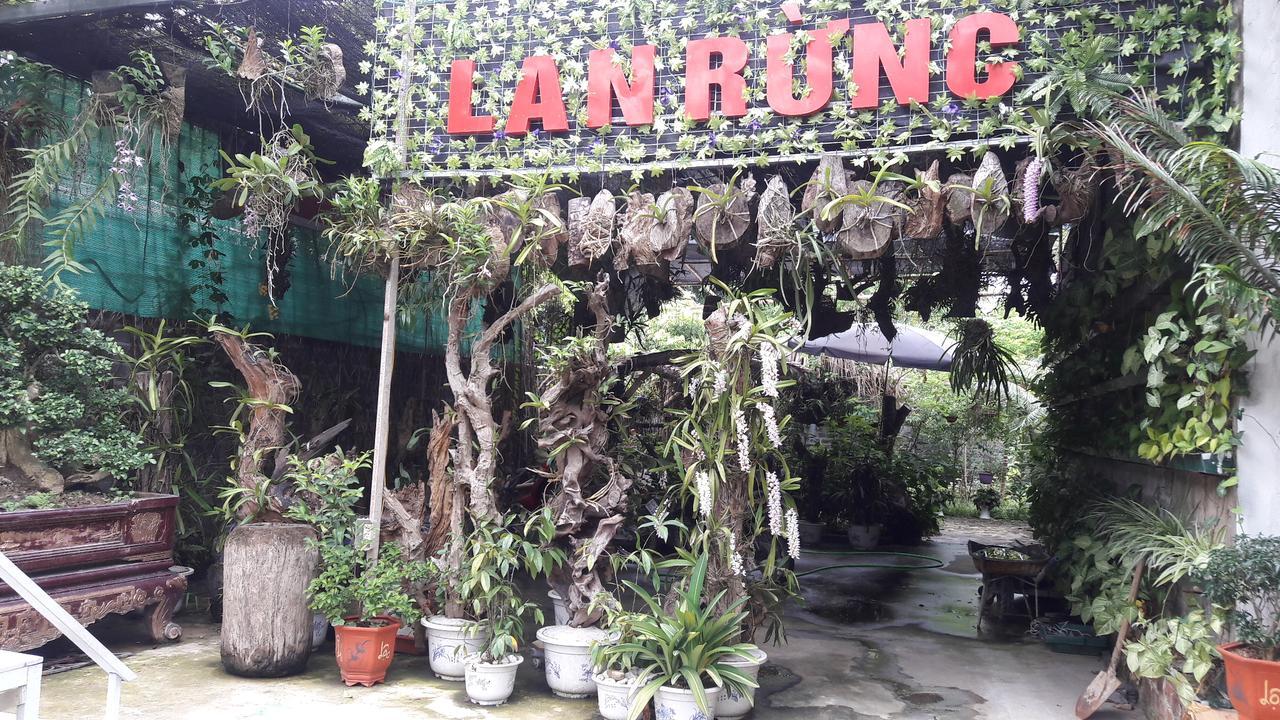 Homestay Lan Rung Nghia Lo Exteriör bild