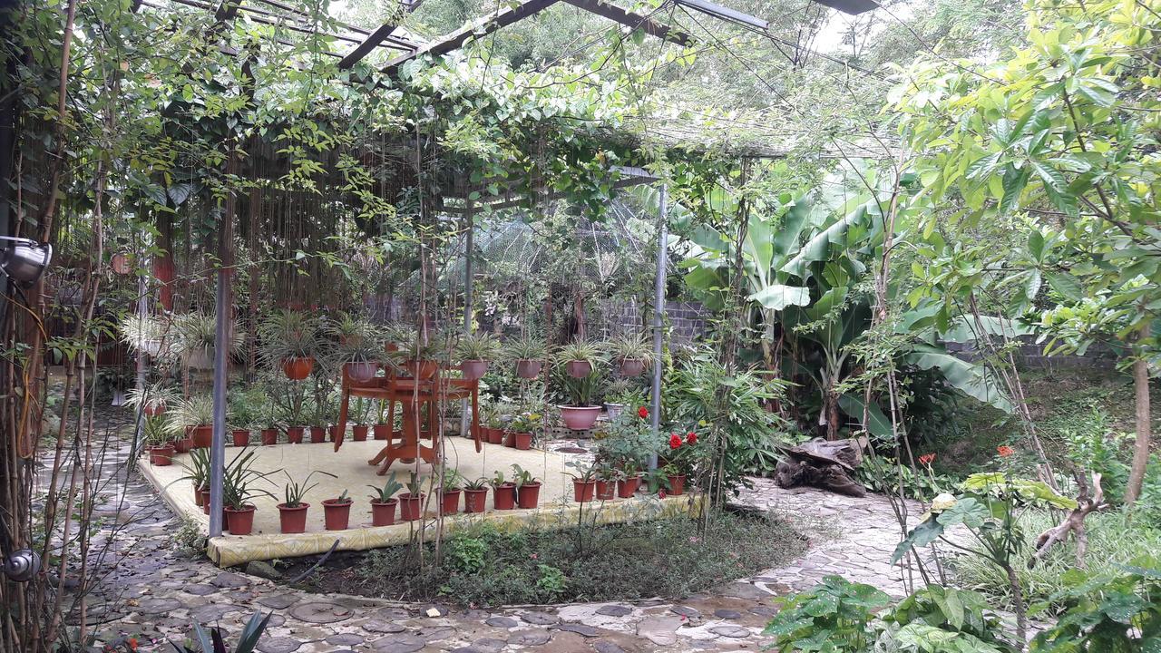 Homestay Lan Rung Nghia Lo Exteriör bild
